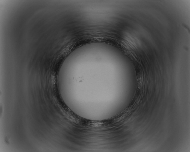 X0000097610472200802290800