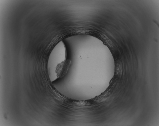X0000097610473200802290800