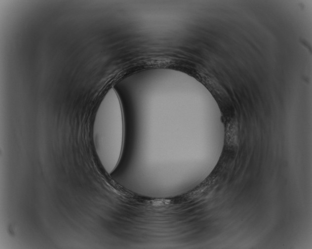 X0000097610474200802290800