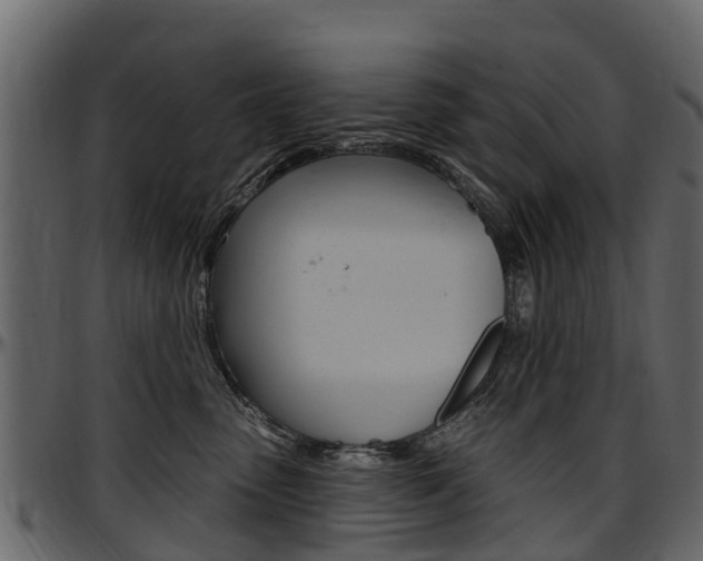X0000097610475200802290800