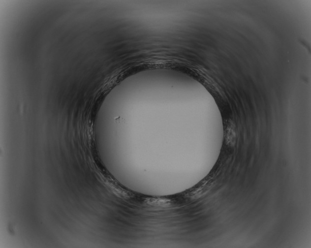 X0000097610476200802290800