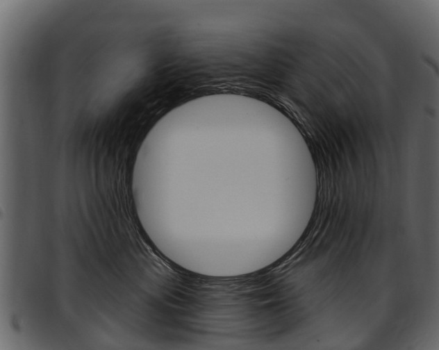 X0000097610477200802290800