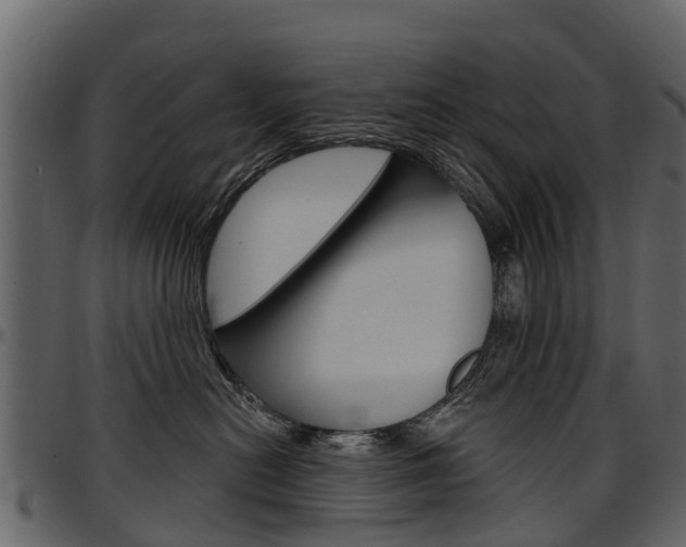 X0000097610478200802290800