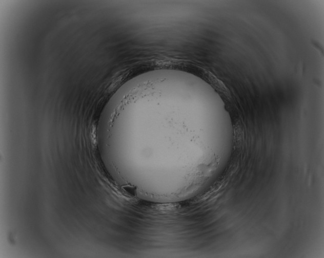 X0000097610479200802290800