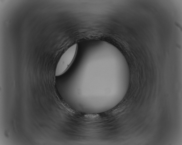 X0000097610480200802290800