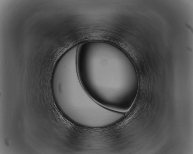 X0000097610481200802290800