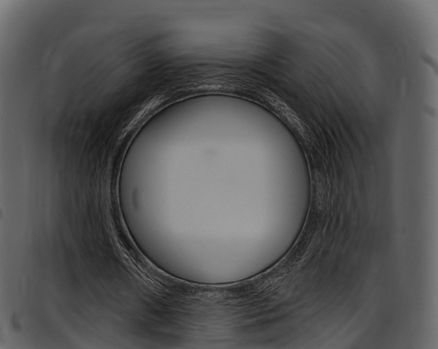 X0000097610482200802290759