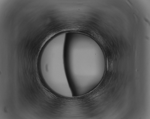 X0000097610483200802290759