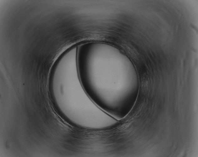 X0000097610484200802290759