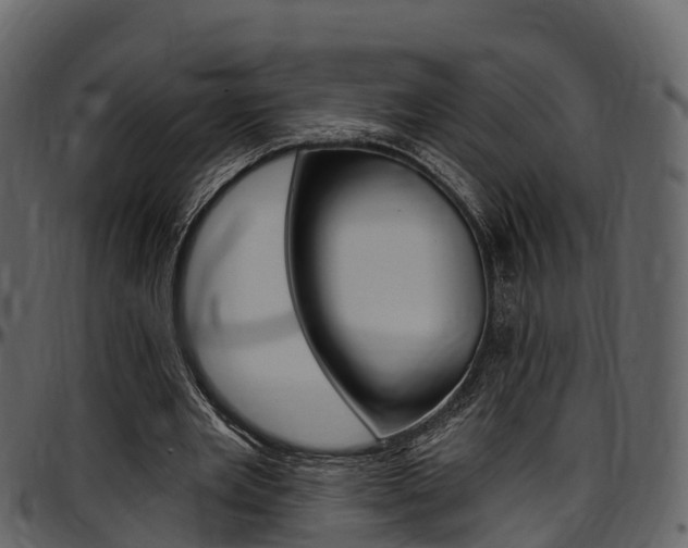 X0000097610485200802290759