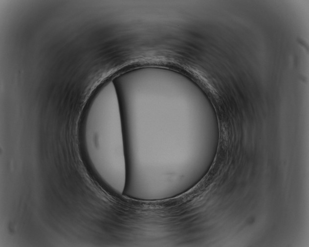 X0000097610487200802290759