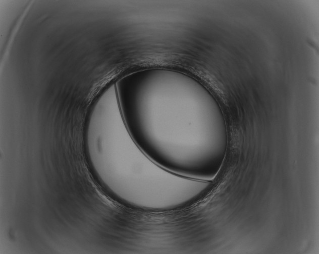 X0000097610489200802290759