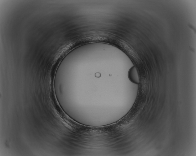 X0000097610490200802290759