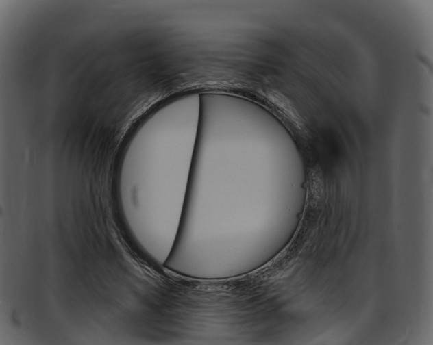 X0000097610491200802290759
