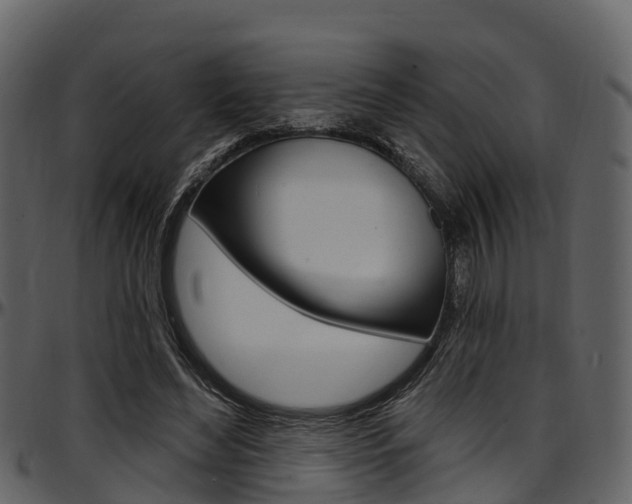 X0000097610492200802290759