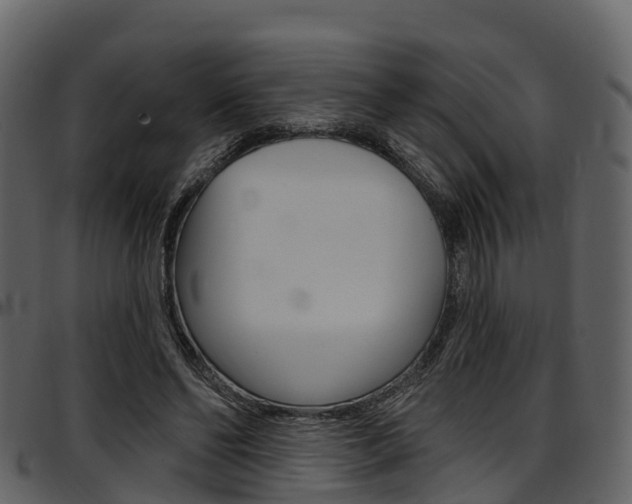 X0000097610494200802290759