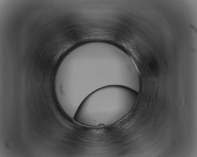 X0000097610495200802290759