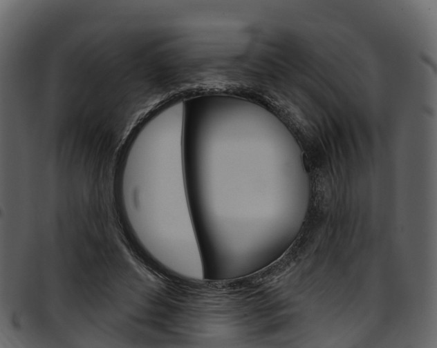 X0000097610496200802290759
