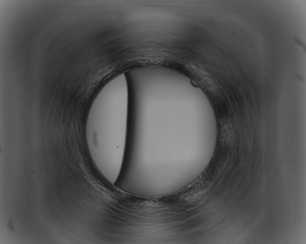 X0000097610498200802290759