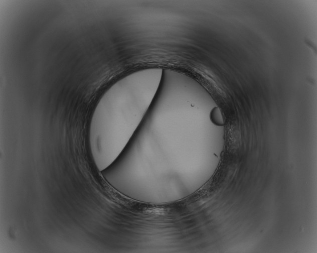 X0000097610499200802290759