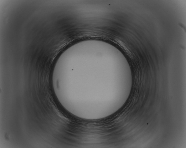 X0000097610500200802290759