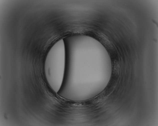 X0000097610502200802290759