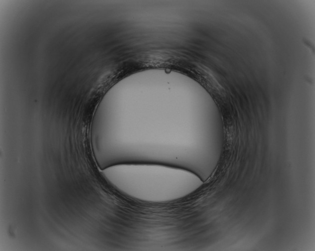 X0000097610503200802290759