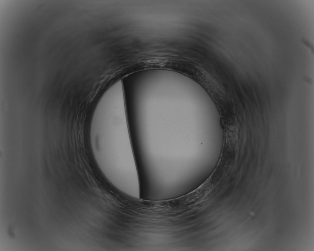 X0000097610504200802290759