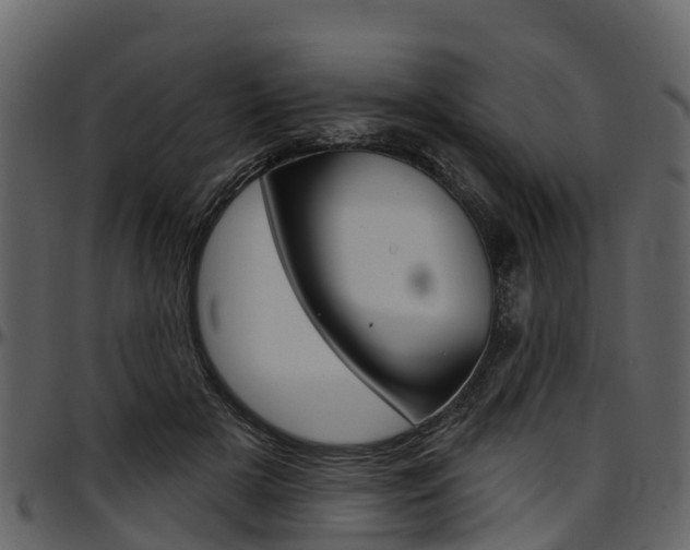 X0000097610505200802290759