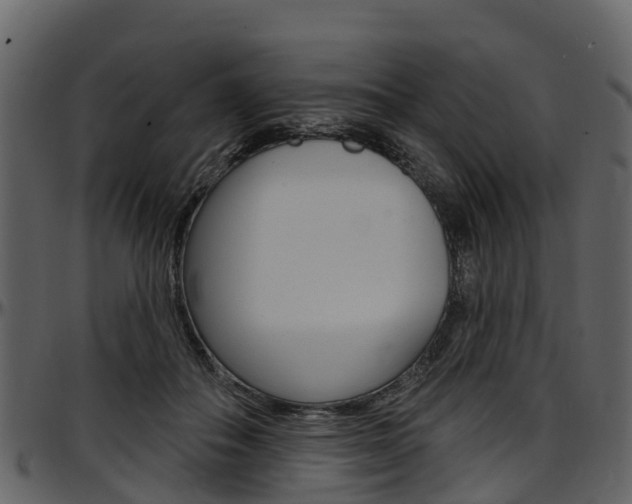X0000097610506200802290759