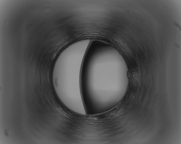 X0000097610508200802290759
