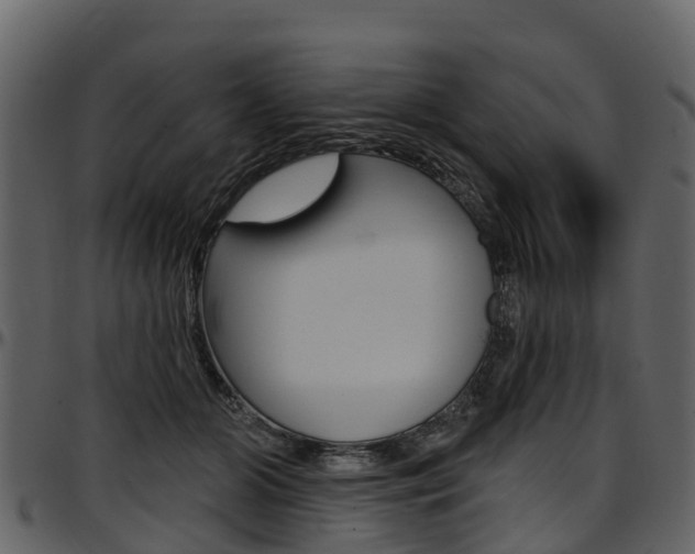 X0000097610510200802290759