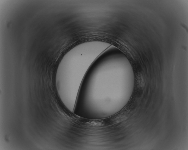 X0000097610512200802290759
