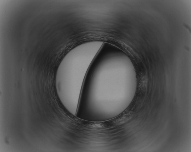 X0000097610513200802290759