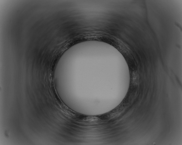 X0000097610514200802290759