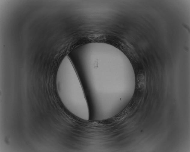 X0000097610515200802290759
