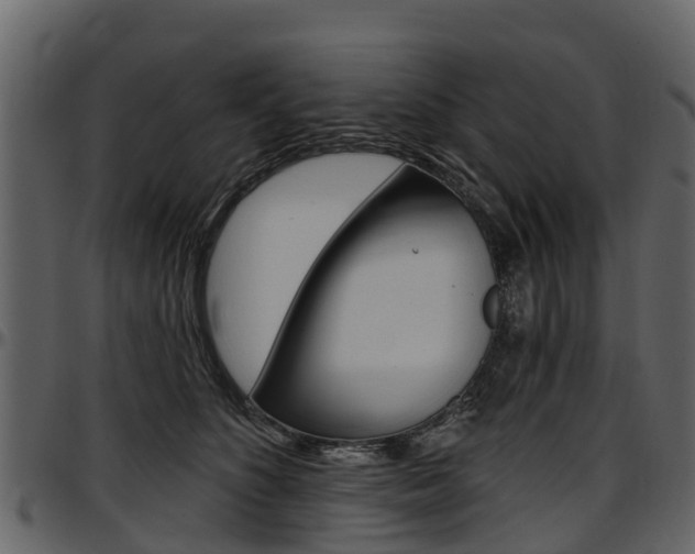 X0000097610516200802290759