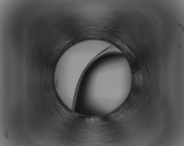 X0000097610517200802290759