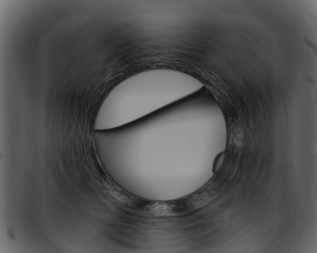 X0000097610518200802290759