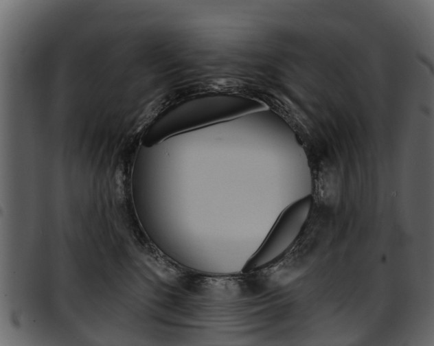 X0000097610520200802290759