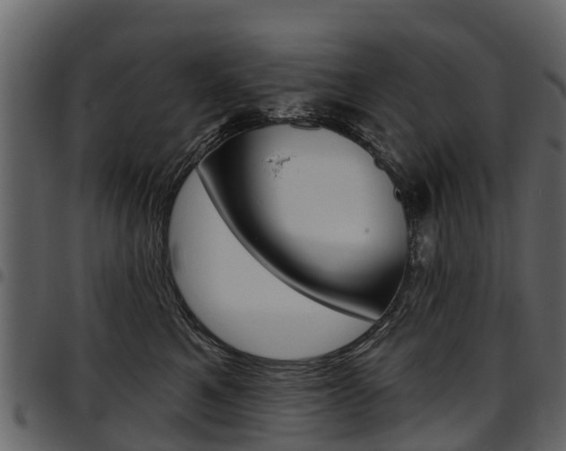 X0000097610521200802290759