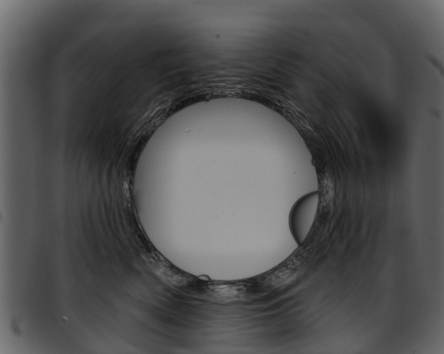 X0000097610522200802290759
