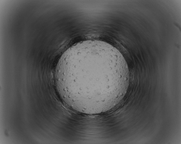 X0000097610523200802290759