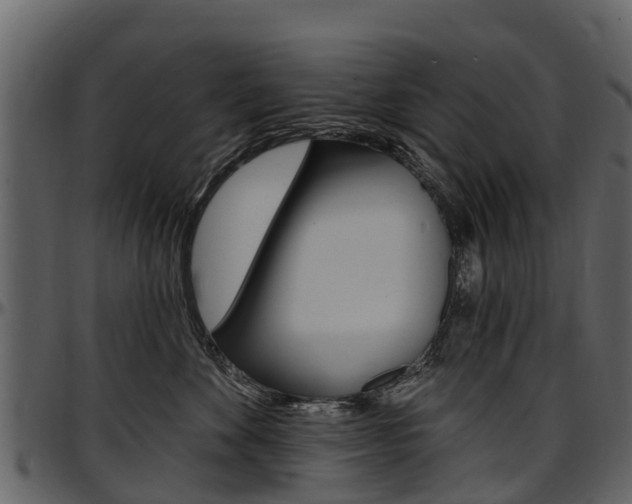 X0000097610524200802290759