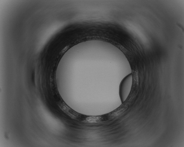X0000097610526200802290759