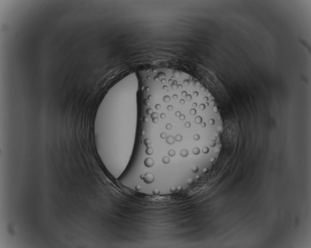 X0000097610527200802290759
