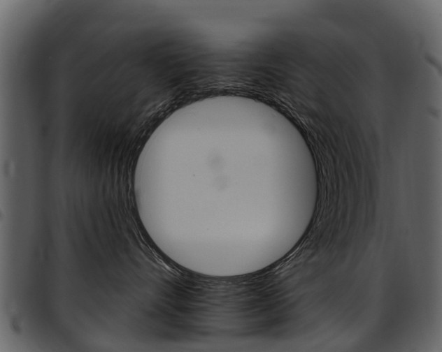 X0000097610528200802290759
