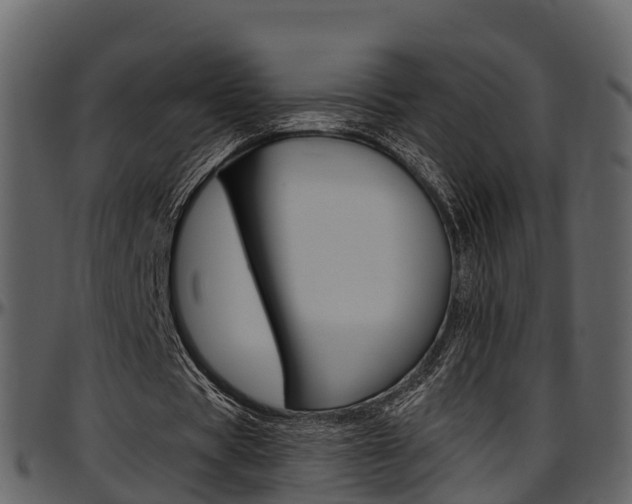 X0000097610529200802290758