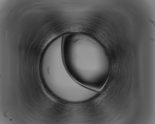 X0000097610530200802290758