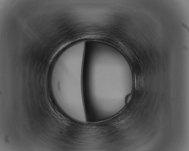 X0000097610531200802290758
